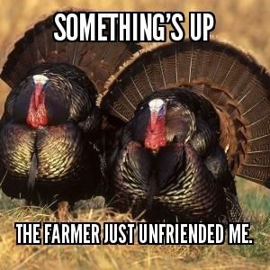 Happy Turkey Day Meme